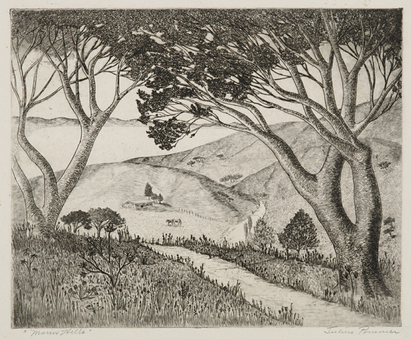 Marin Hills