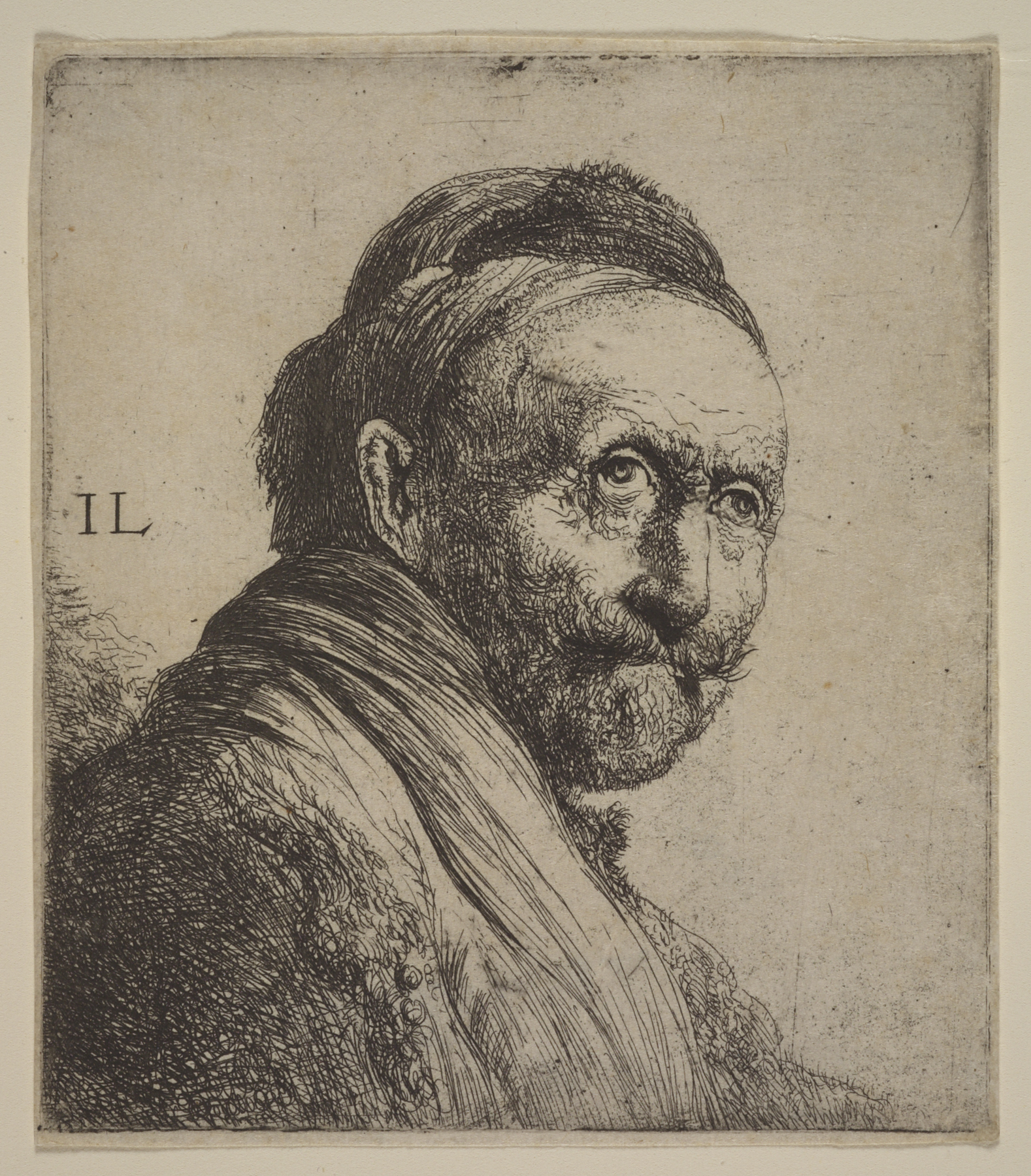 Bust of an Old Man