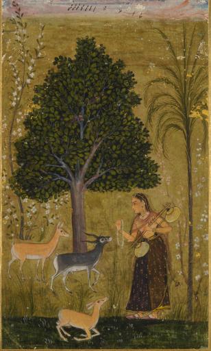 Lady and Deer in Park