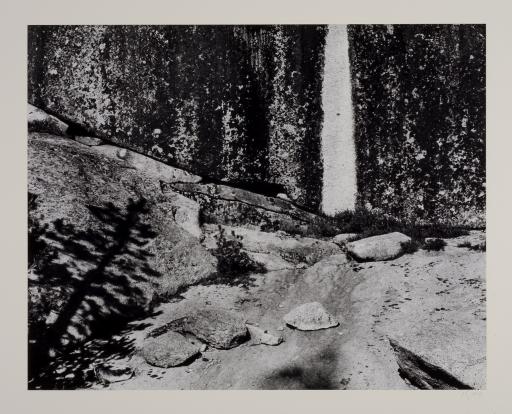 Lichen, Granite, Yosemite National Park