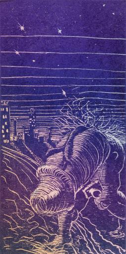 Hokusai Holidays on the Gold Coast