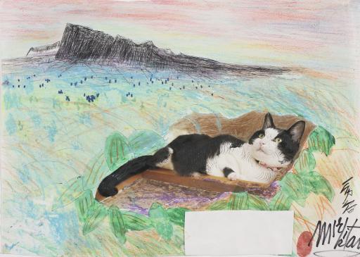 untitled (Tule Lake cat), Jimmy Tsutomu Mirikitani (1920–2012)