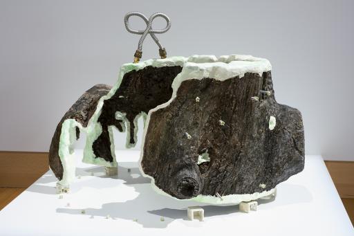 I liked the idea of secrets hidden inside of a tree, Noelle Choy